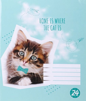 Зошит шкільний Cat 24 аркуши клітинка 2 Мрії збуваються