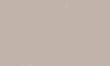 Шпалери вінілові на флізеліновій основі WallCOLOR W 151 C 04 1,06x10,05 м