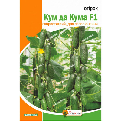 Семена Яскрава огурец Кум да Кума