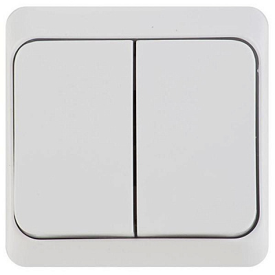 Выключатель двухклавишный Schneider Electric Прима без подсветки 10 А 220В белый