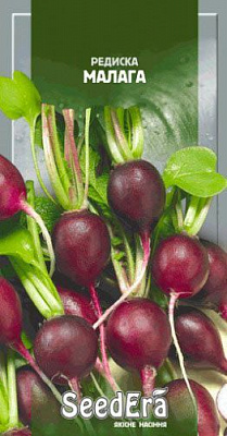 Насіння Seedera редиска Малага 1г