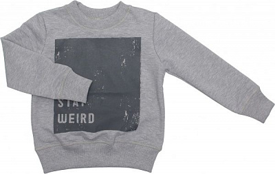 Свитшот Маленькие люди 4 р.116 серый 