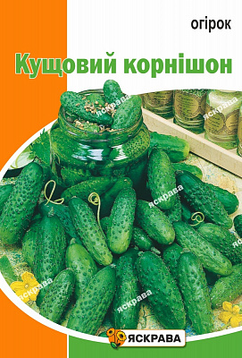 Насіння Яскрава огірок Кущовий корнішон