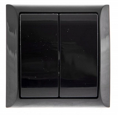 Вимикач двоклавішний UP! (Underprice) без підсвітки 10 А 220В чорний 2208 BLACK