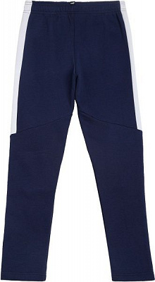 Брюки Puma Boys Pants FL 58486806 р. 116 синий