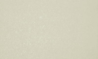 Шпалери вінілові на флізеліновій основі MEGAPOLIS SP509-05 1,06x10,05 м