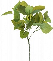 Растение декоративное Рускус 1908 30х30 см