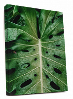 Картина на холсте Зеленые листья 50x70 см WS Holst 14082220,8 
