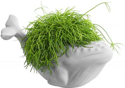 Кашпо Animal Land Кит білий матовий Дон Пион