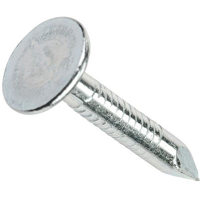 Цвяхи покрівельні  3,1x20 мм 1 кг білий цинк EXPERT FIX