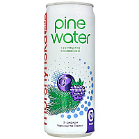 Вода мінеральна Моршинська Pine Water зі смаком чорниці та ожини слабогазована 0,33 л (4820017001748) 