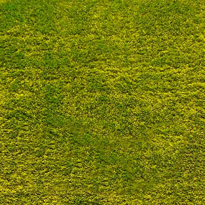 Ковролин Карат Fantasy runner 12000/130 4 м