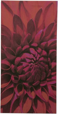 Картина на полотні 100x50 см КЕ010-10050