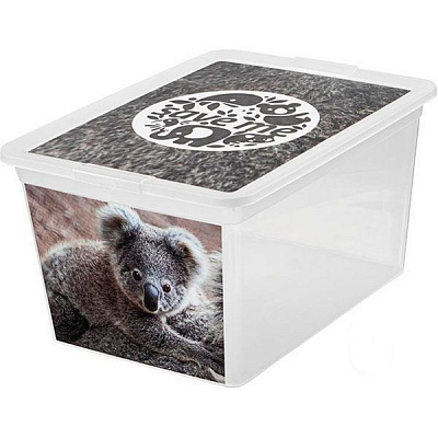 Ящик для зберігання BranQ 7315.2 X-BOX з малюнком 