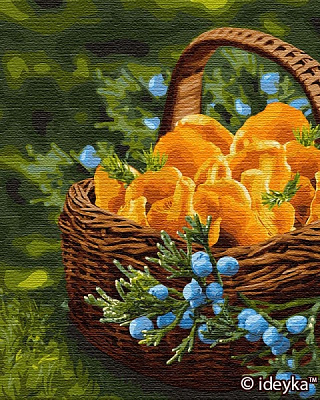 Картина по номерам Солнце в корзинке Идейка 