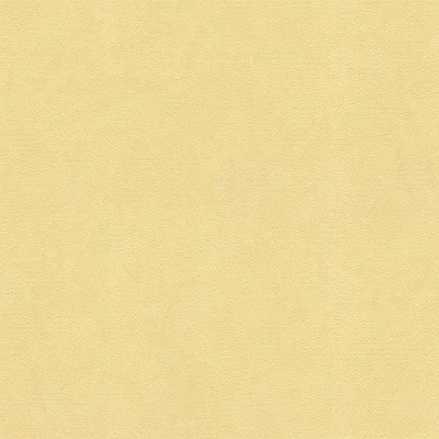 Шпалери Ланіта Ірма СШТ 1-1026 1.06х10.05 м