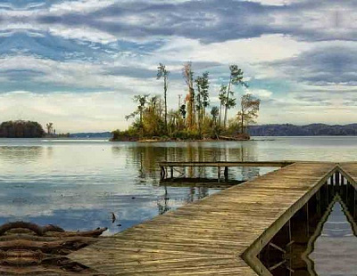 Репродукція MAY85063 60x80 см RozenfeldArt