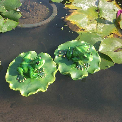 Лягушка на листочке SW00128