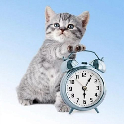 Набір для творчості зі стразами на підрамнику Час прокидатися 30x30 см Діамантові ручки