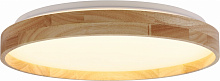 Світильник стельовий Sensio LED Kioto 70 Вт білий 3000 - 6500 К AR-N250421025