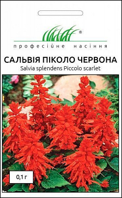 Насіння Професійне насіння сальвія Піколо червона 0,1 г