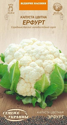 Насіння Семена Украины Капуста Цвітна Ерфурт 0,5г