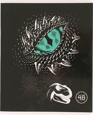 Зошит шкільний Dino скоба 48 аркушів в клітинку Мрії збуваються