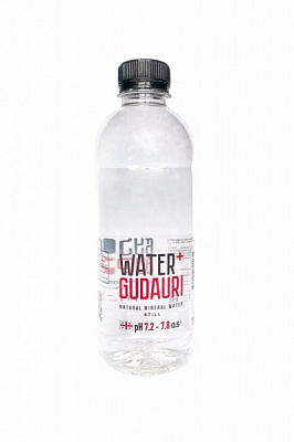 Вода минеральная Water+Gudauri негазированная 0,5 л 
