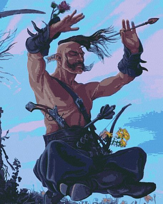 Картина за номерами Характерник 40х50 см Riviera Blanca