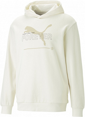 Джемпер Puma PUMA ESS BETTER HOODIE TR 67329399 р. S бежевий