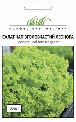 Семена Професійне насіння салат Леонора 30 шт. (4820176693204)