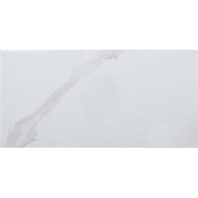 Плитка Атем Calacatta GR 25x50