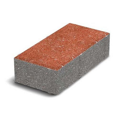 Тротуарная плитка Кирпич 100х200х45 мм красная