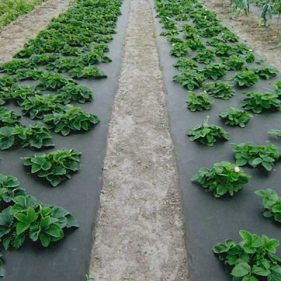 Агроволокно Growtex 50 UV черное 3,2х10 м