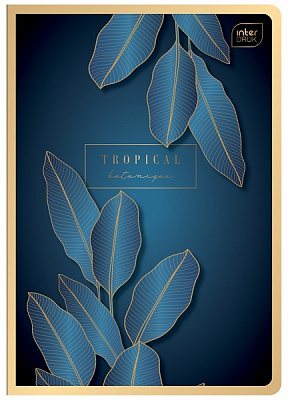 Зошит А5 80 арк. клітинка євро-формат METALL InterDRUK