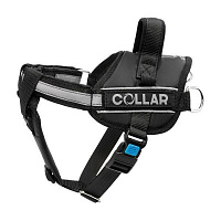 Шлея Dog Extreme POLICE №2 зі змінним написом