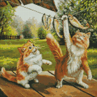 Алмазна мозаїка Гарний улов 40х40 см Ідейка