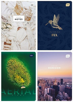 Зошит шкільний А5 24 арк. лінійка Elegant в асортименті InterDRUK