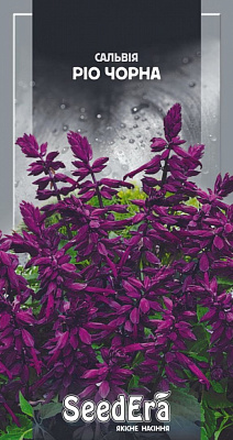 Семена Seedera сальвия Рио черная 0,2 г (4823073705902)