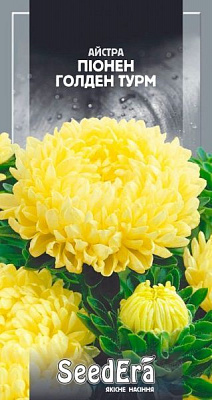 Семена Seedera астра высокорослая Пионен Голден Турм 0,25 г