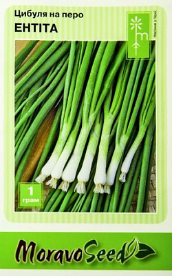 Семена MoravoSeeds лук-резанец Энтита 1г