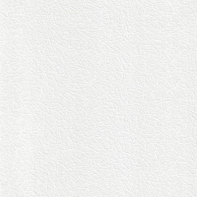 Шпалери зі спіненого вінілу Sintra Giganto 680575 0,53x15 м