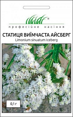 Семена Професійне насіння статица Айсберг 0,1 г