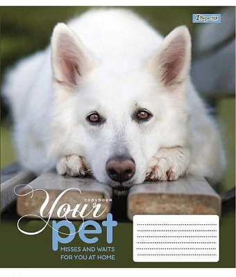 Тетрадь школьная Dog loyality А5/12 в клетку 1 вересня