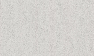 Шпалери вінілові на флізеліновій основі WallCOLOR W 157 C 10 1,06x10,05 м