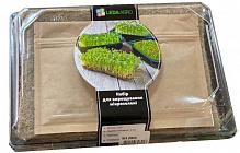 Набір для вирощування мікрозелені LedaAgro Смачнісімо насіння салату, редиски, цибулі (4820119796924)