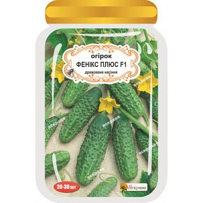 Семена Яскрава огурец Феникс плюс 20 шт.