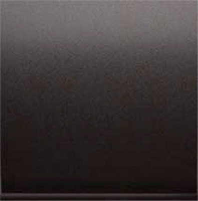 Клавіша вимикача одноклавішний Simon 54 без підсвітки 10 А 250В графіт DKW1/48