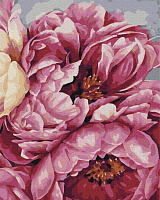 Картина за номерами Цвітіння півонії BS40543 40x50 см Brushme 
