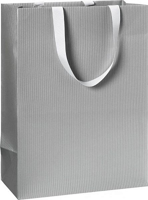 Пакет подарочный One Colour silver 25x13x33 см STEWO